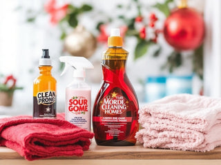 cleaninng-products-for-christmas