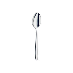 Dessert Spoon 19.9cm Ecco Collection, Stainless Steel Dinner Spoons, Dishwasher Safe, Pack of 12
