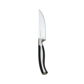 Steak Knife 11.4cm Stainless Steel Tapered Serrated Blade with ABS Handle Pack of 12