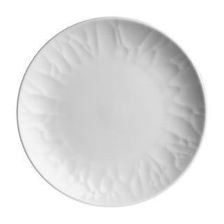 Atelier Signature Coupe Plate 27.9cm Porcelain for Dinner, Catering Serving Plates Pack of 12