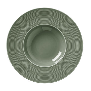 Concorde Fern Rim Pasta Bowl 28.5cm Porcelain for Salad Pasta, Dining Serving Pack of 12