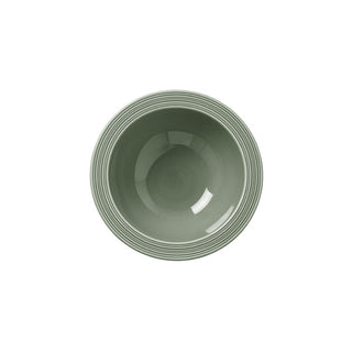 Concorde Fern Green Oatmeal Bowl 16.5cm Porcelain for Oatmeal, Breakfast Bowl Pack of 12