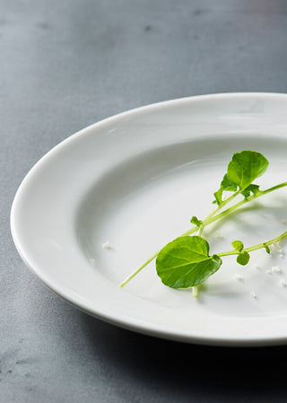 Monaco White Bowl 11.5cm 26cl Vitrified Alumina Pack of 12 for Desserts Side Portions