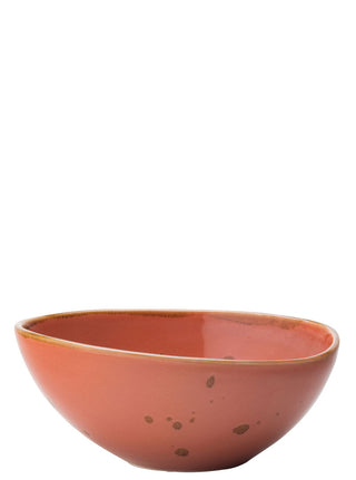 Porcelain Earth Cinnamon Bowls 21.5cm Pack of 6 for Salads Pasta Professional Restaurant Service