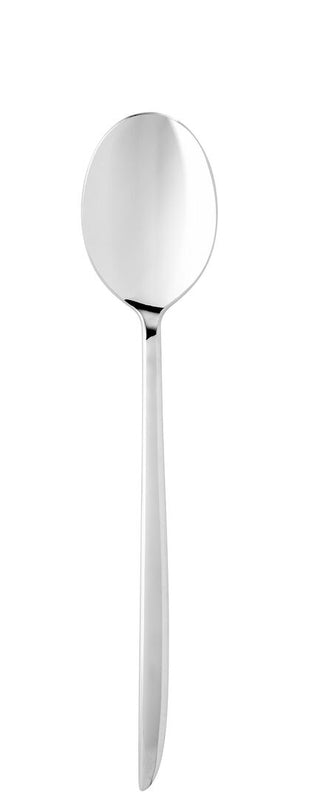 Orca Collection Dessert Spoon Stainless Steel Cutlery Dinner Table Spoons, Dishwasher Safe, Box of 12