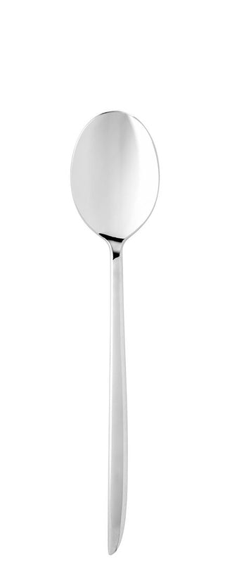Orca Collection Table Spoon Stainless Steel Dining Spoons Cutlery, Dishwasher Safe, Box of 12